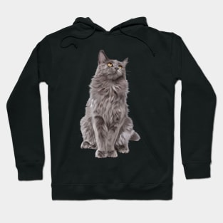 Grey Persian Cat Hoodie